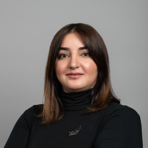 د. منى محسن أويار حسيني